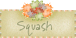 squash recipes
